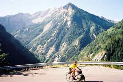 Olivier dans le col d'Allos