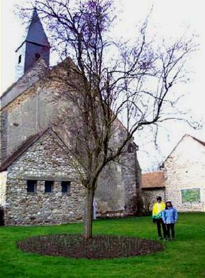 eglise_de_boisset