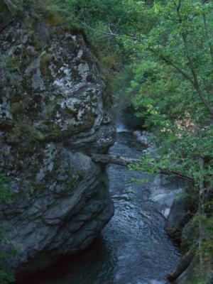 Torrent vers Tor