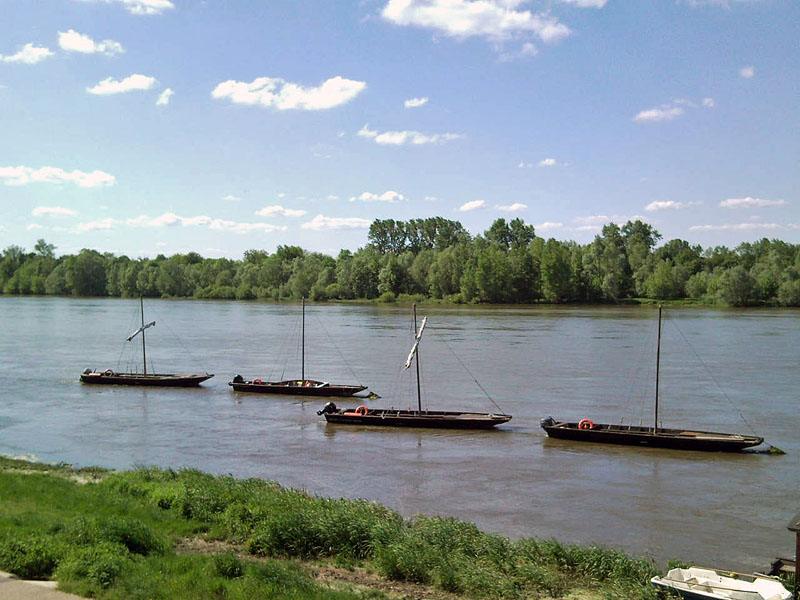 les_futreaux_a_chaumont_sur_loire