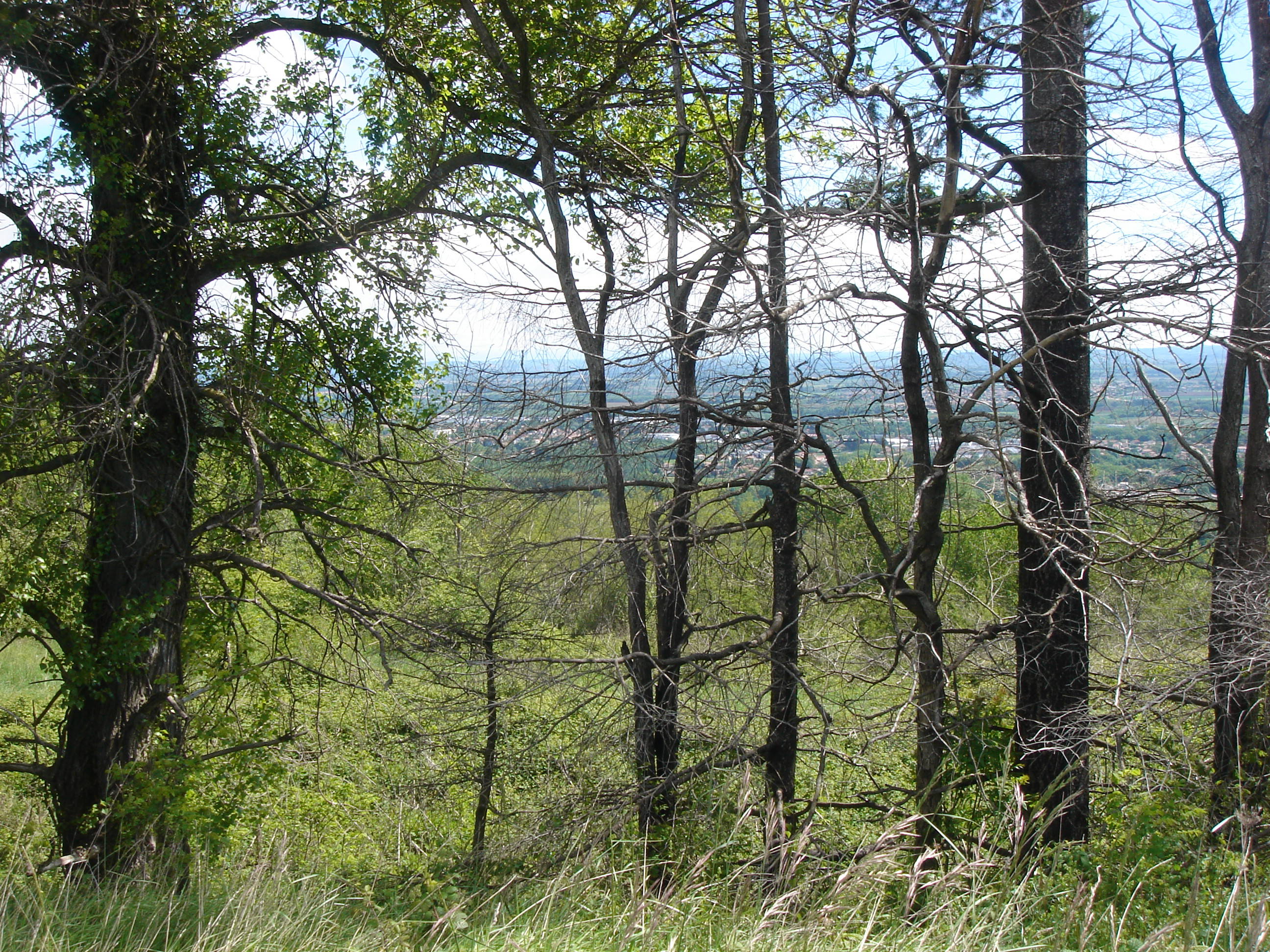 Beaux points de vue sur Pamiers