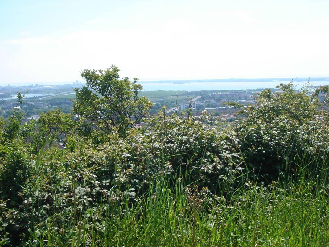 Vue sur la mer