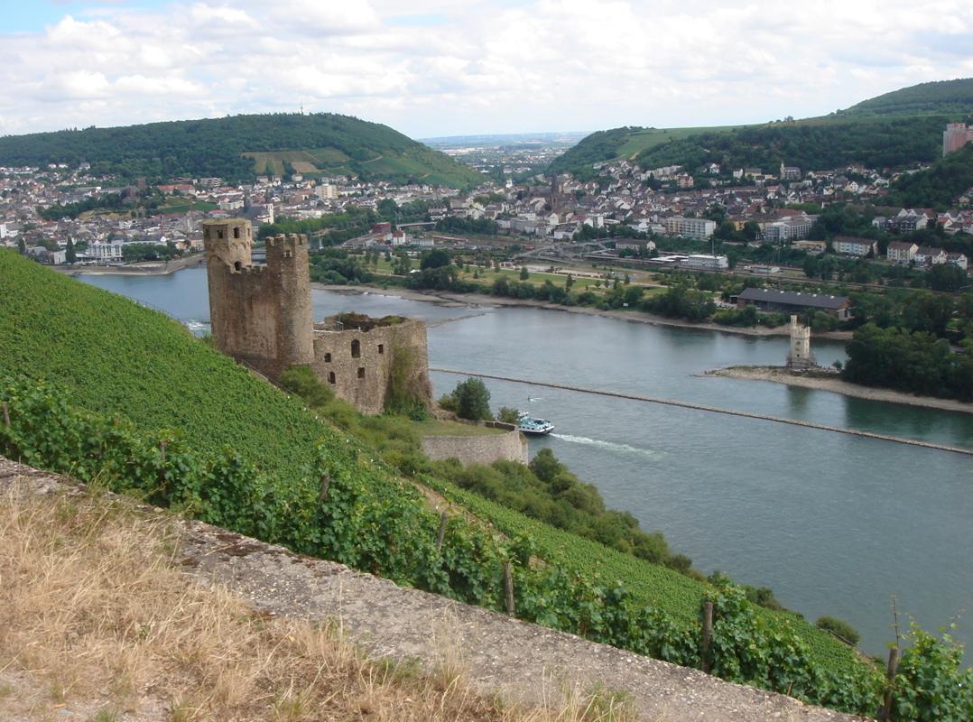 Burg Ehrenfels et Bingen en face