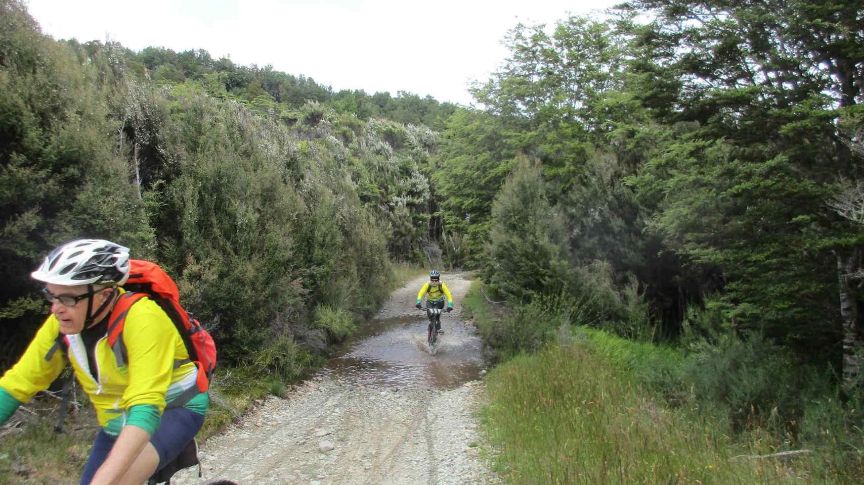 Chemin qui
            monte