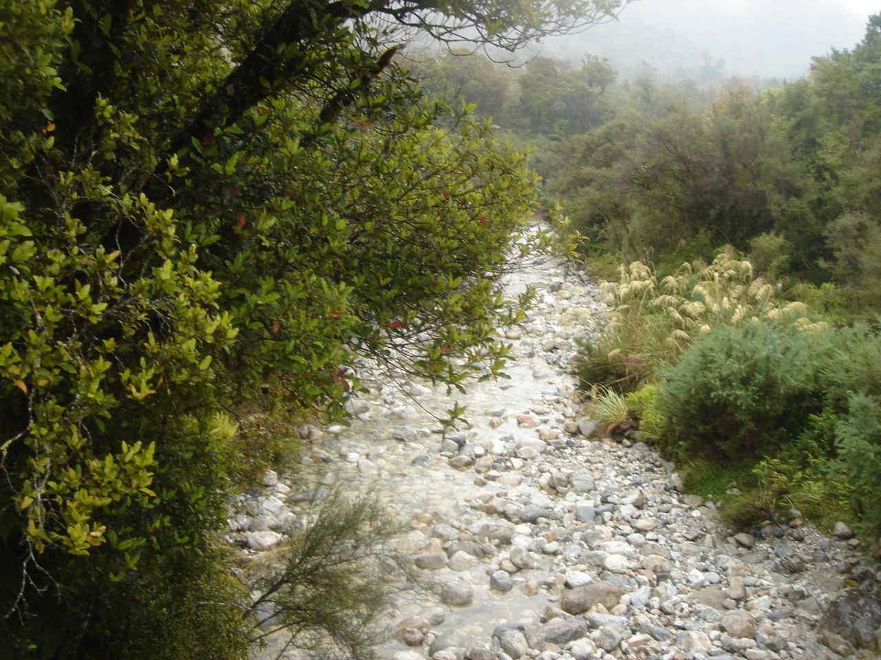 Torrent traversant la foret