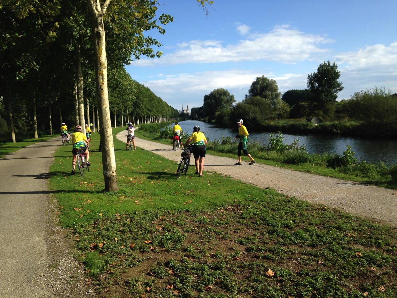 Abeilles en
          vie d'Amiens