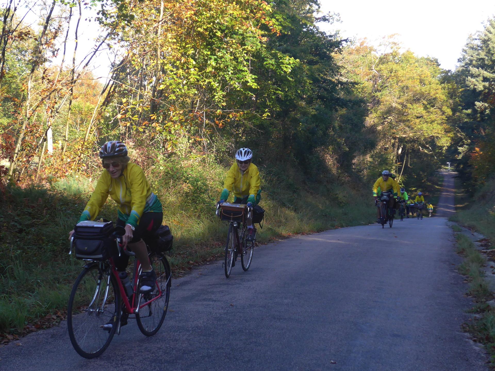 Abeilles à vélo