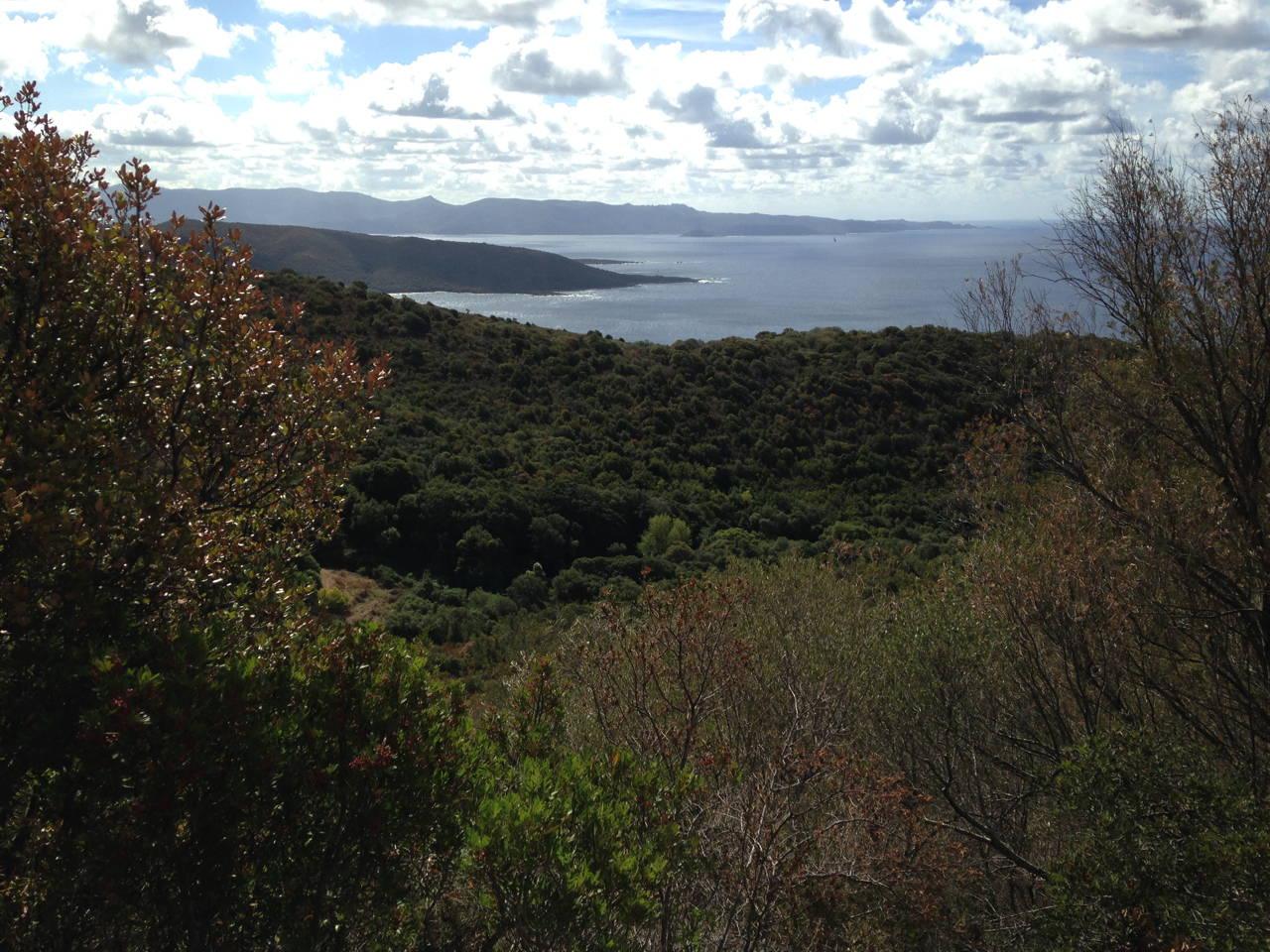 Baie de Cupabia