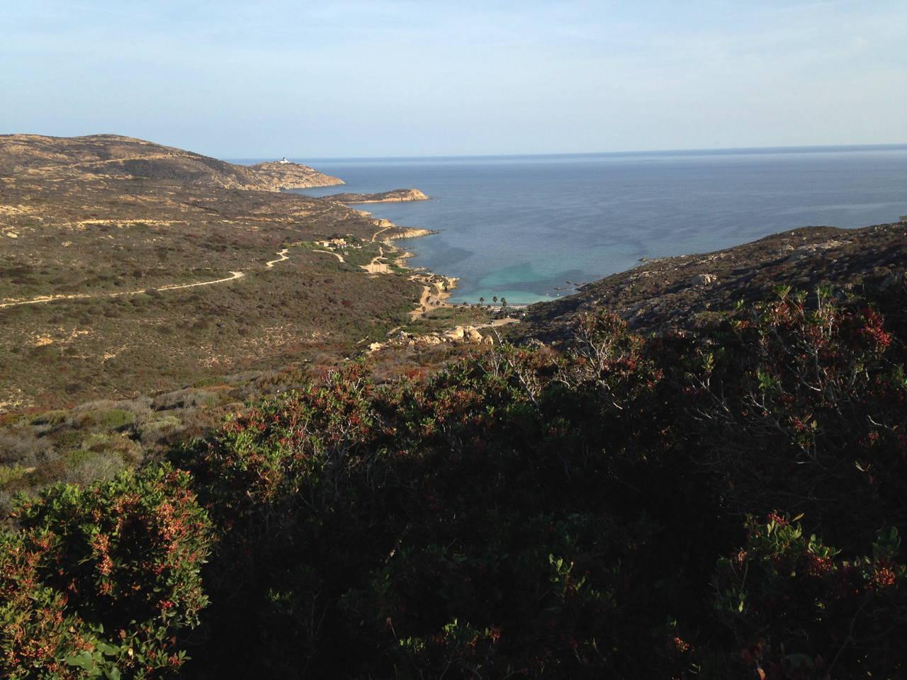 Corniche de Calvi à 9h30