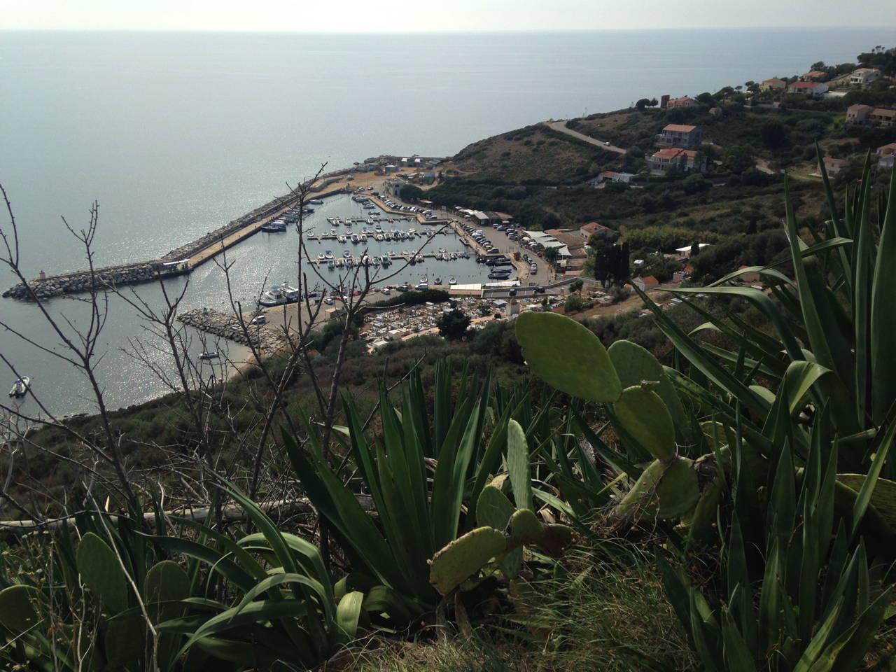 Carguese - Vue sur le port