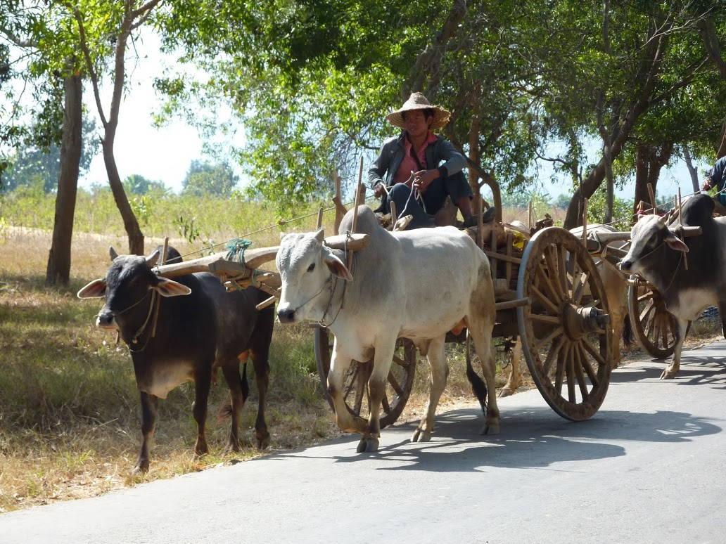 Photo Myanmar