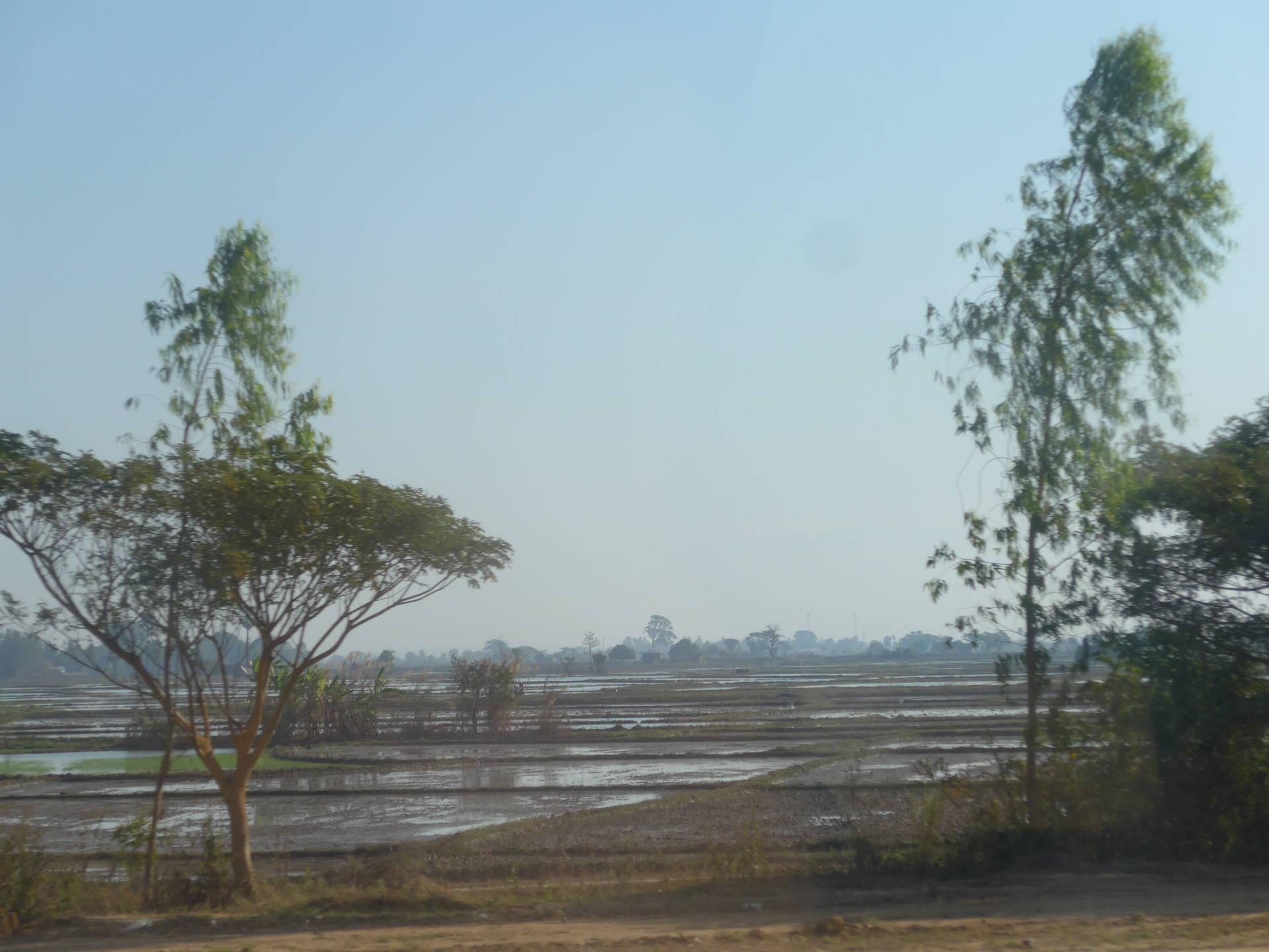 Photo Myanmar