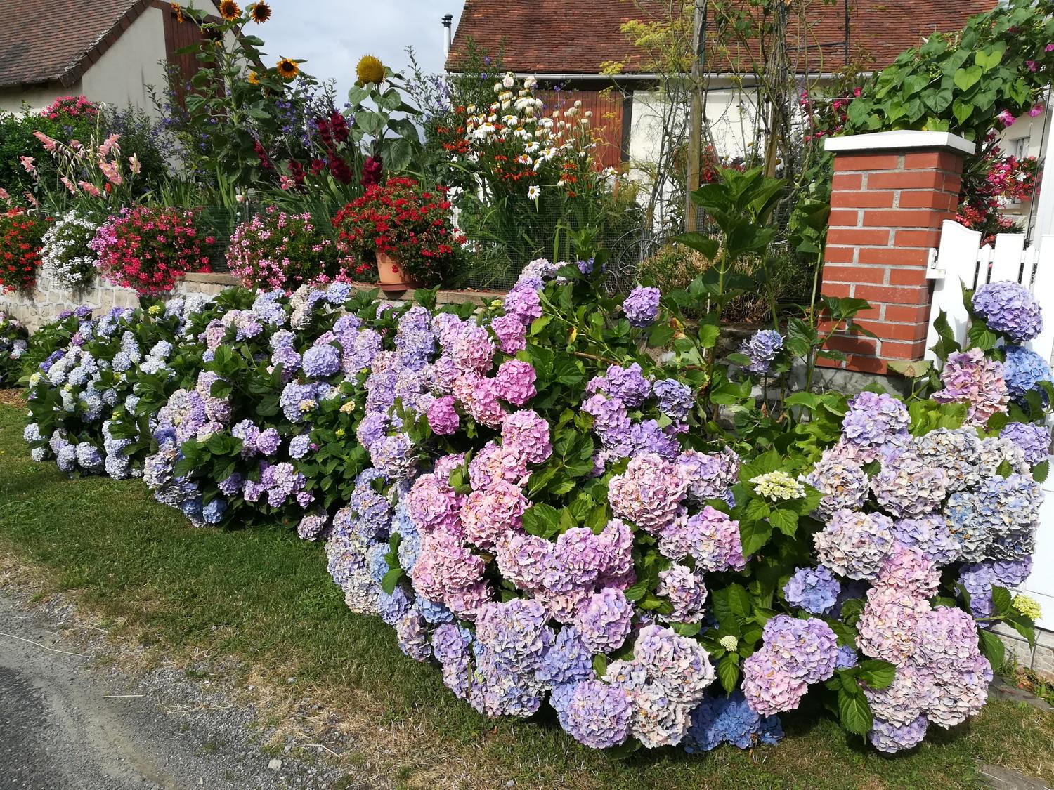 Massif de
            fleurs à Aigurande