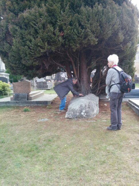 Tombe de
            Sisley