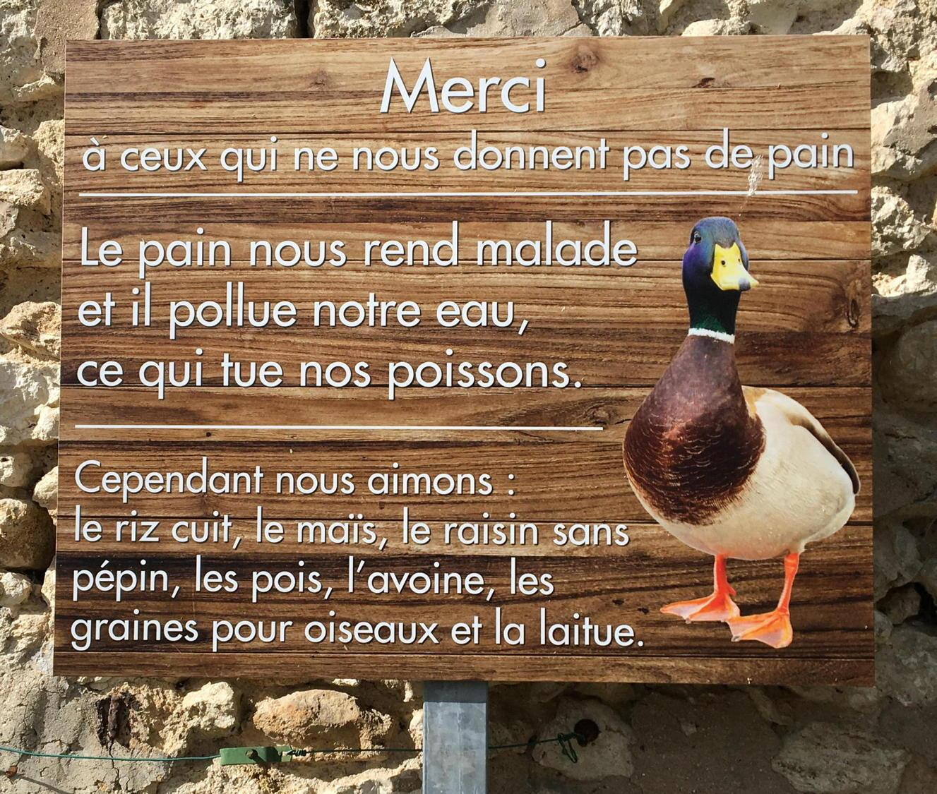 Canard