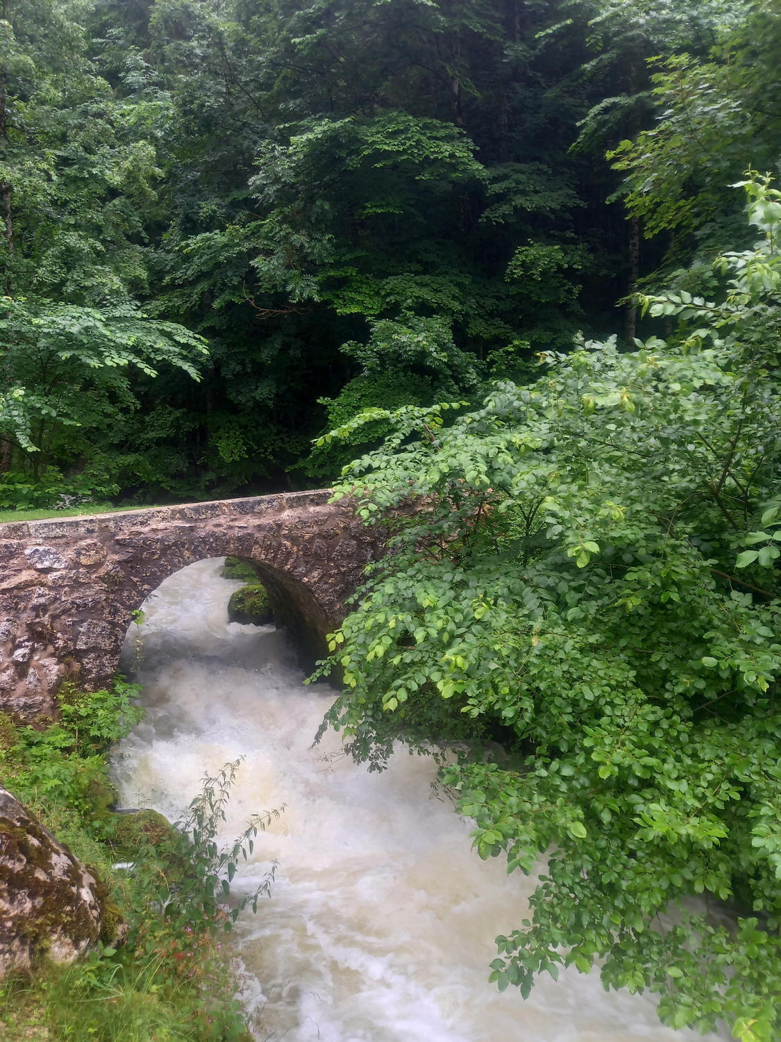 Petit pont
                dans la montée