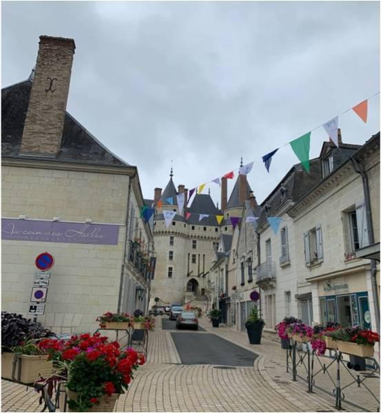 Chateau
            de Langeais