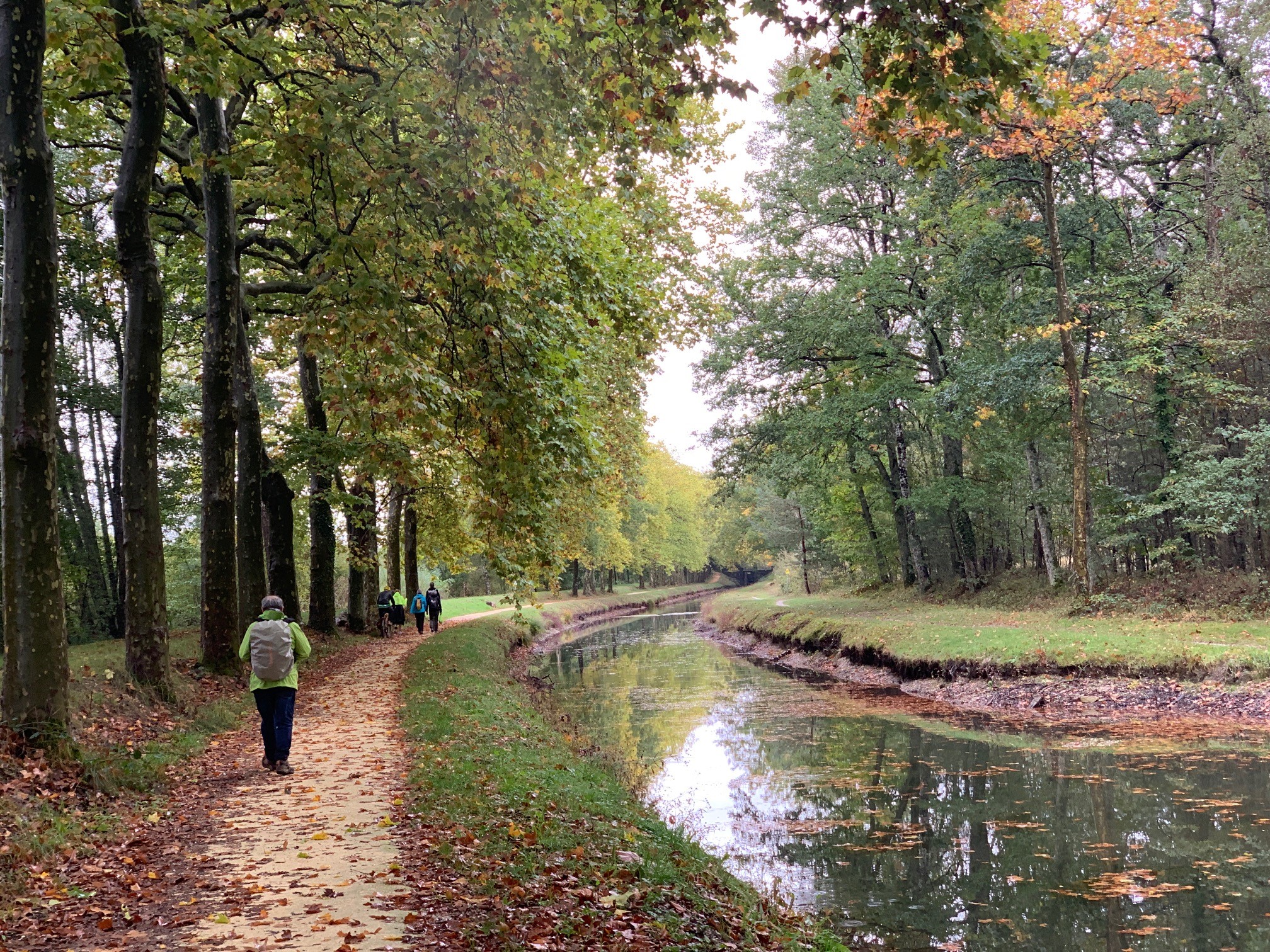 Canal de la
            Sauldre