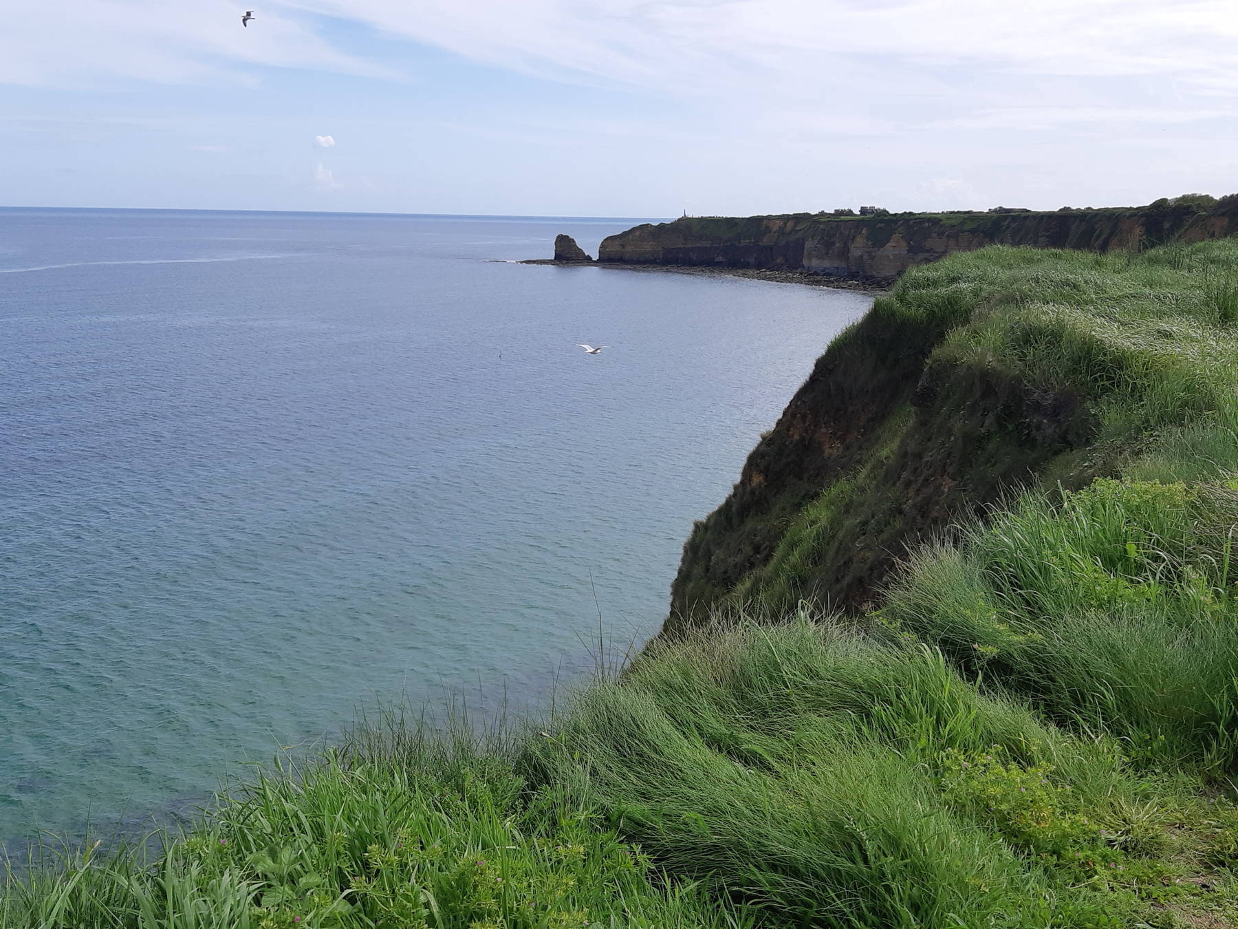 Cotentin