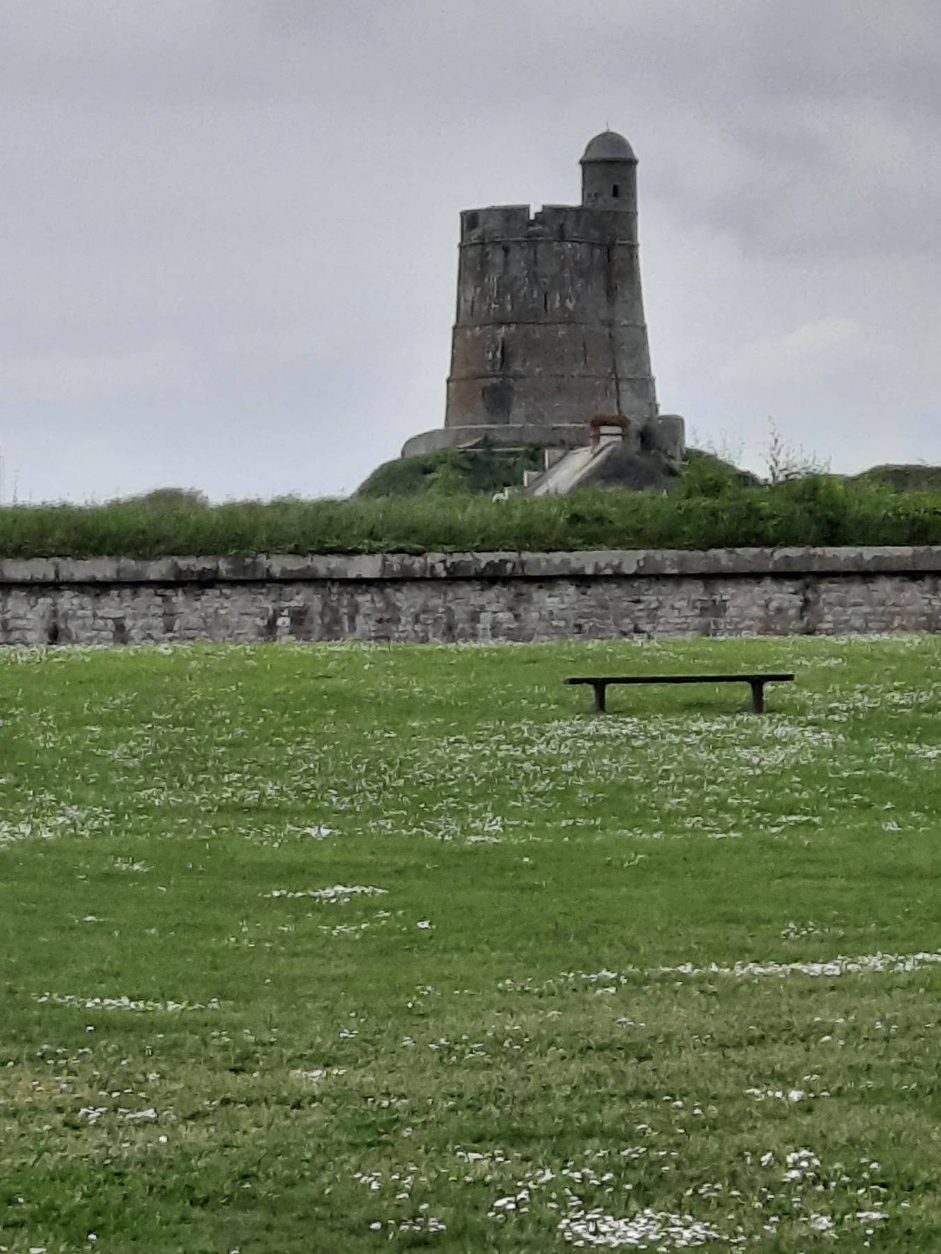 Cotentin