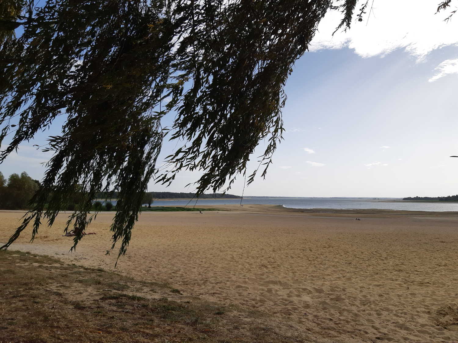 La plage sur les bords du lac d’Orient t