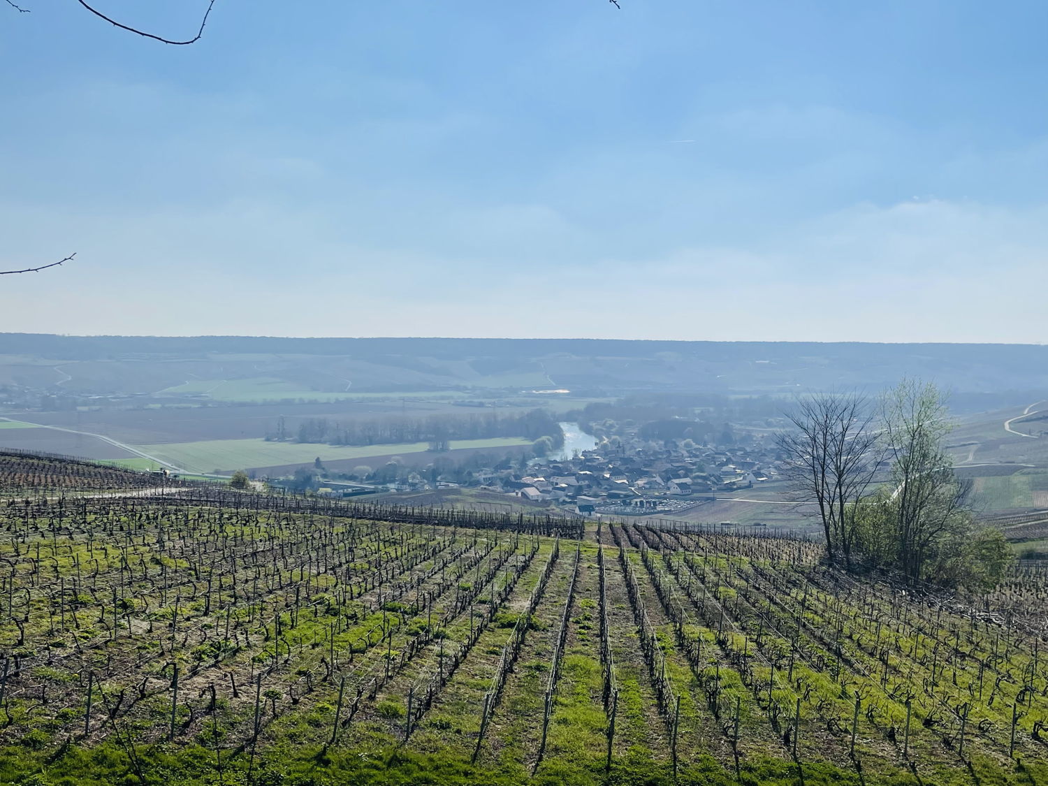à Epernay