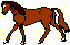 cheval_20