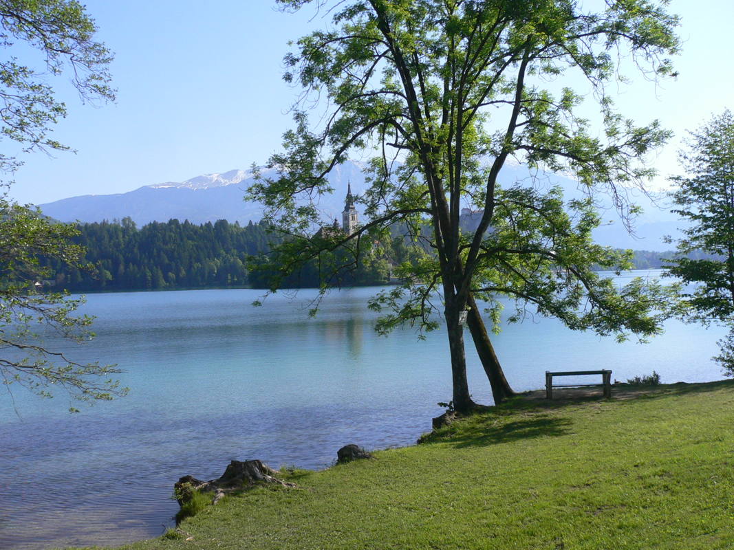 Lac de Bled le matin