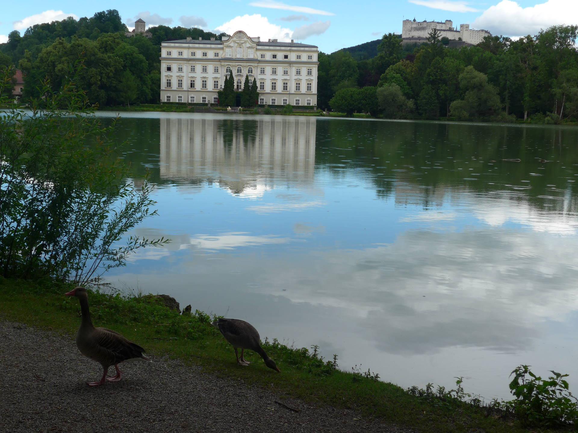Salzburg et son chateau