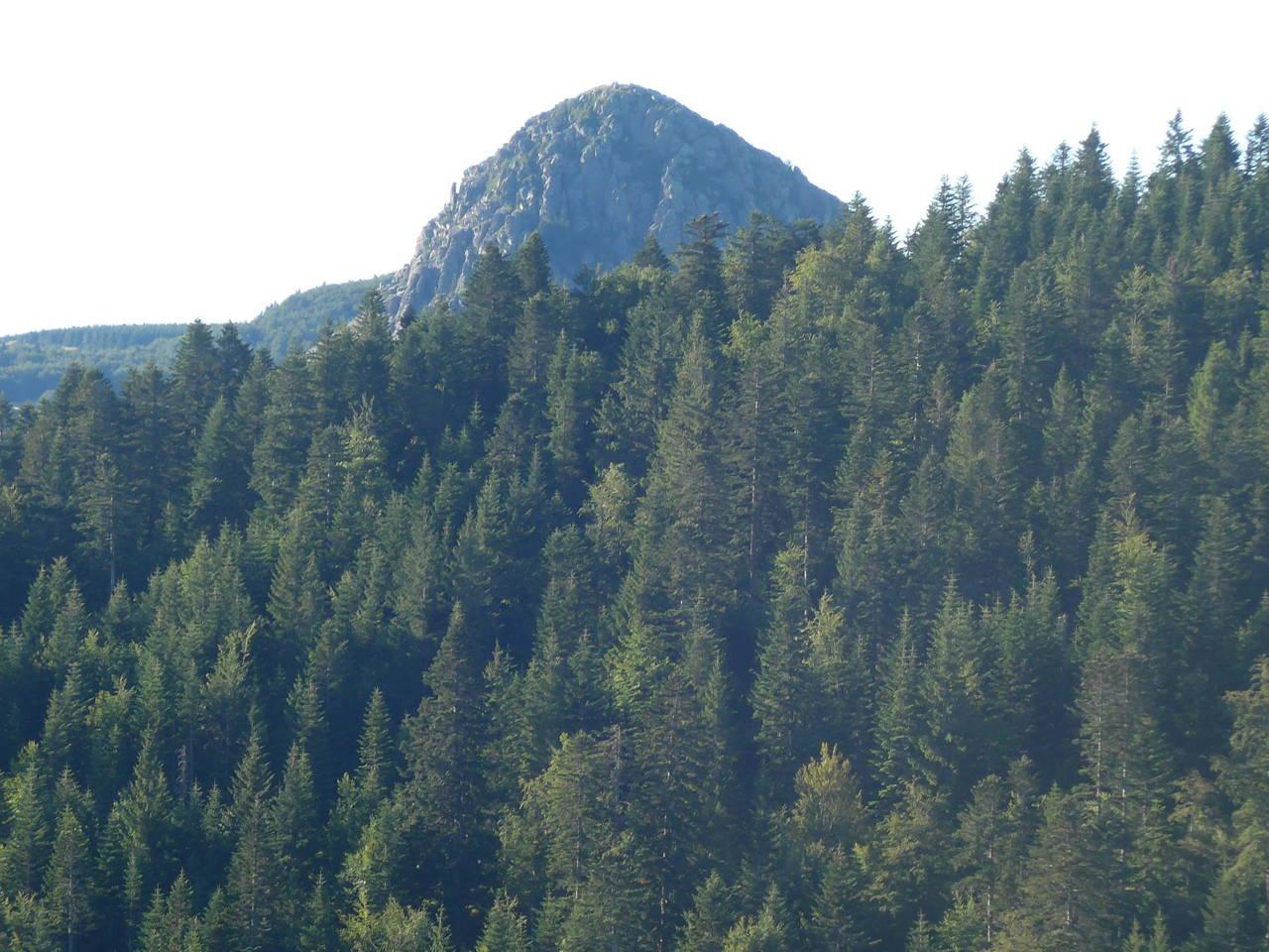 Mont Gerbier de joncs